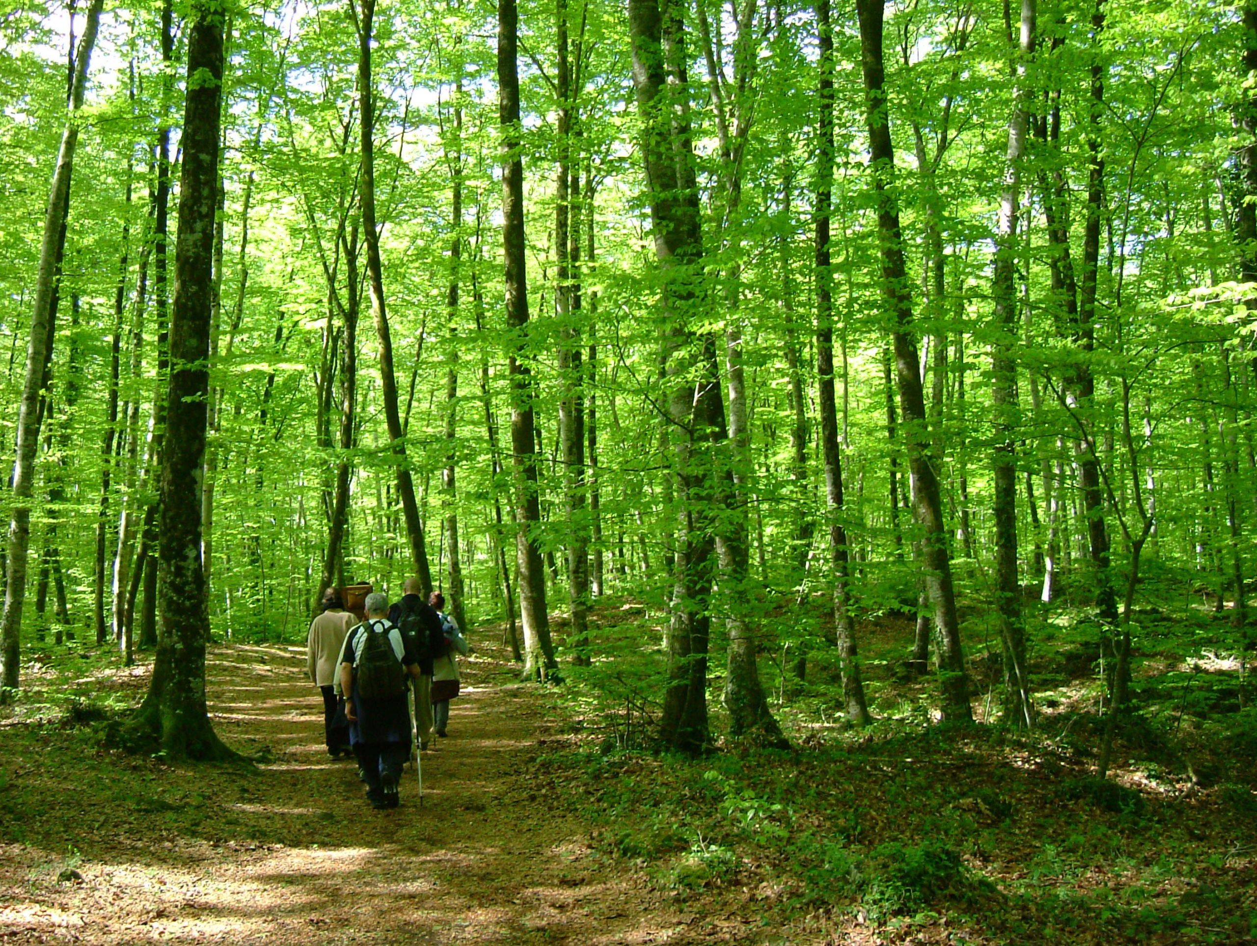 Hike Fageda d’en Jordà