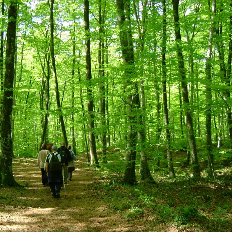 Hike Fageda d’en Jordà