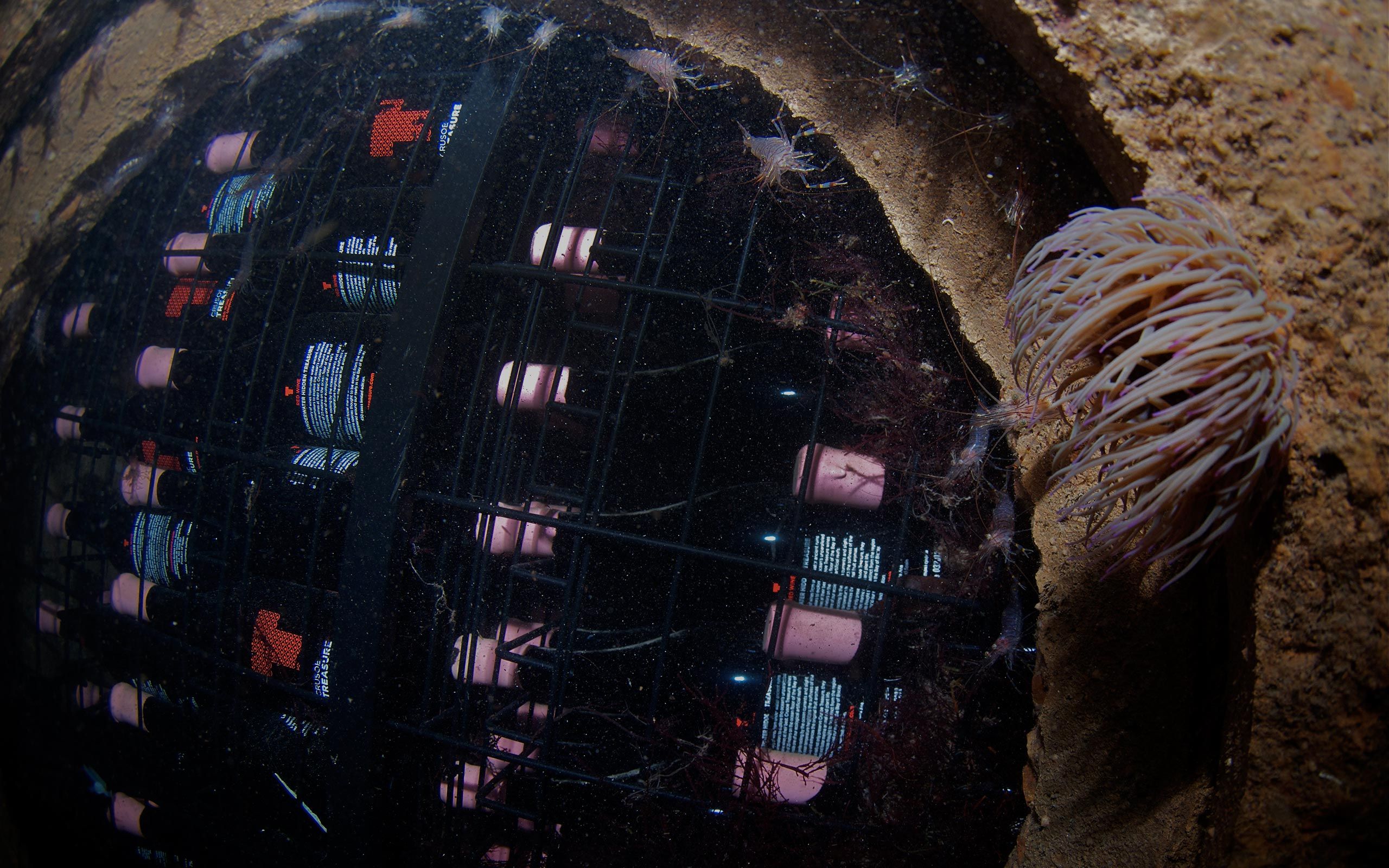 Visit to an Underwater Winery off the Basque Coast