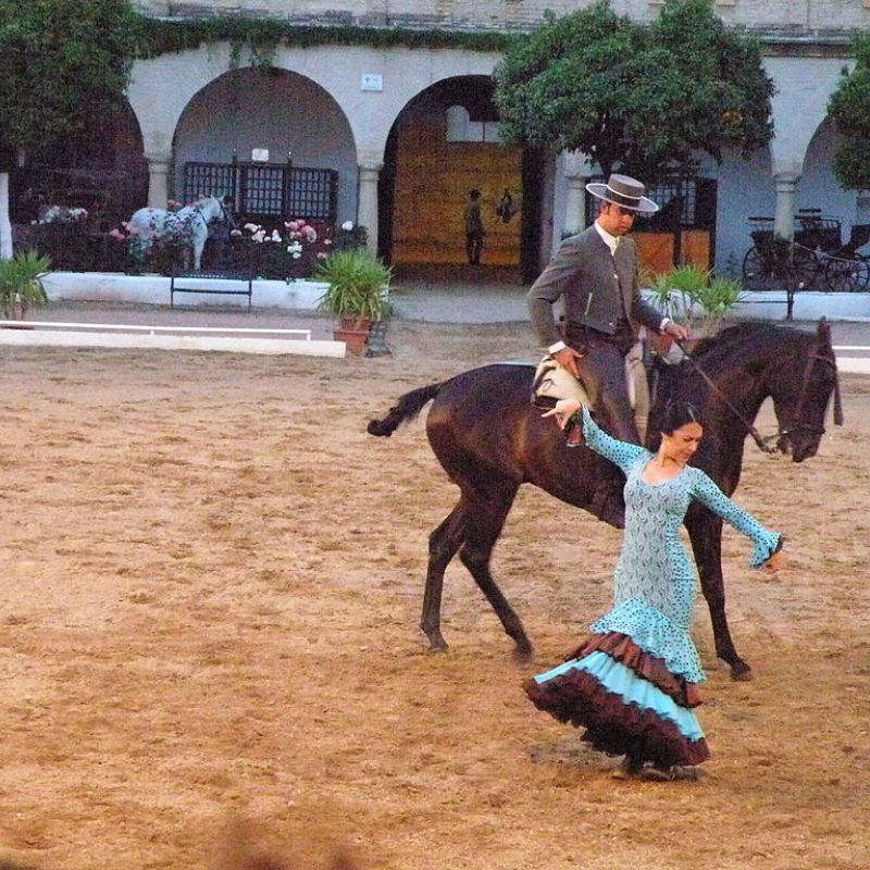 Equestrian Show at the Cordoba Royal Stables