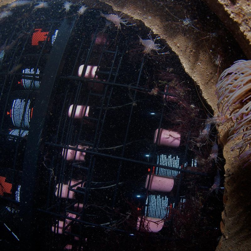 Visit to an Underwater Winery off the Basque Coast
